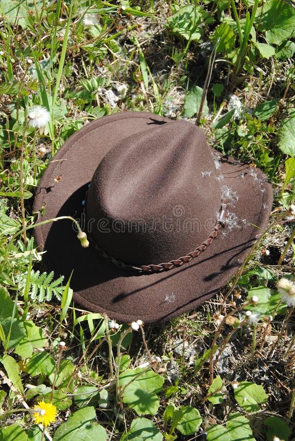 Фото из поисковика Яндекс