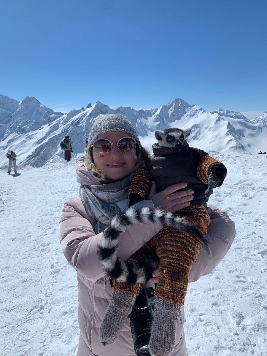 Лемур в образе Висиссуалия Лоханкина, который обдумывает проблемы всемирной революции.