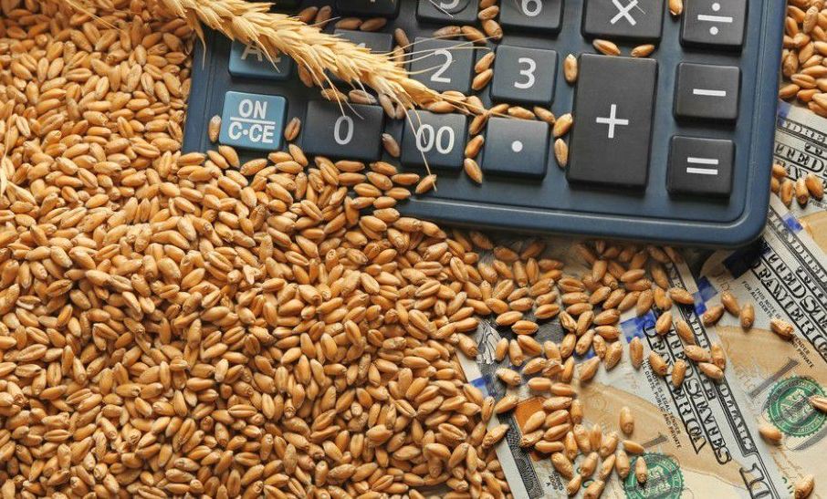 Товарное зерно. Экспорт зерна. Экспорт сельскохозяйственной продукции. Рынок зерна.
