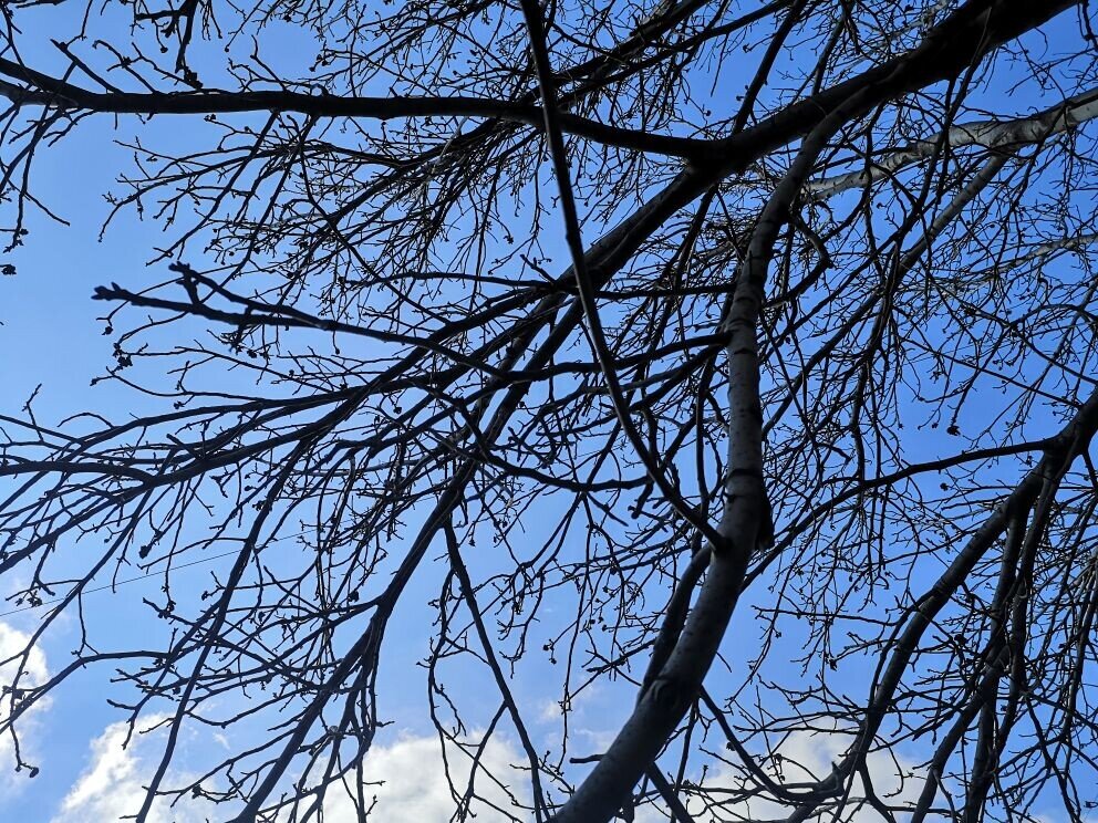 Фото автора.