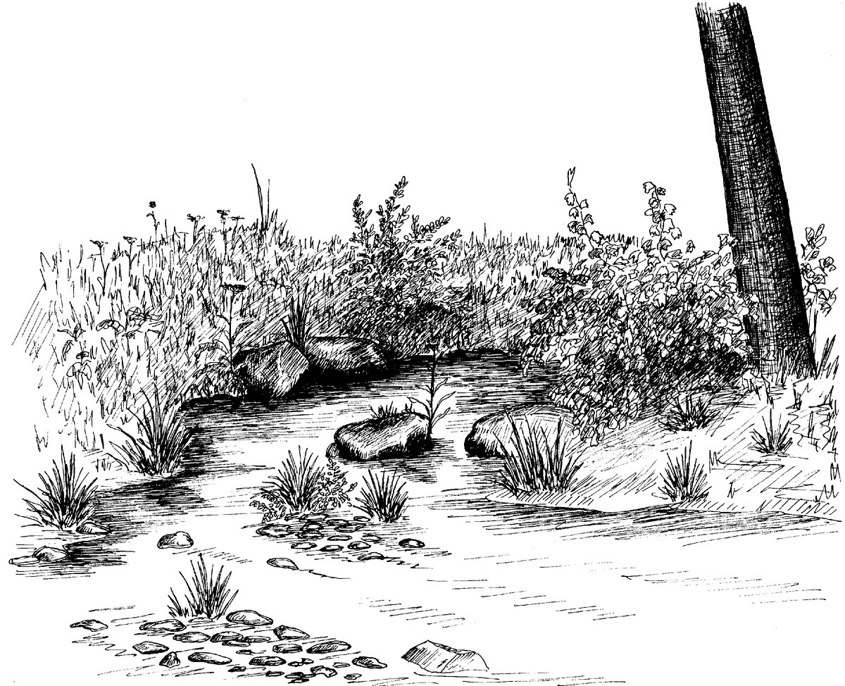 Перекат на Воймеже.