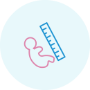 13 недель беременности — это начало замечательного спокойного периода вынашивания малыша. Нестабильный первый триместр, когда жизнь малыша была очень уязвима, пройден, токсикоз отступил.-2