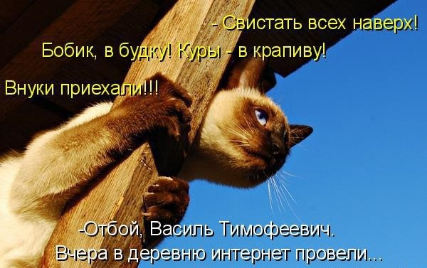 из открытых источников