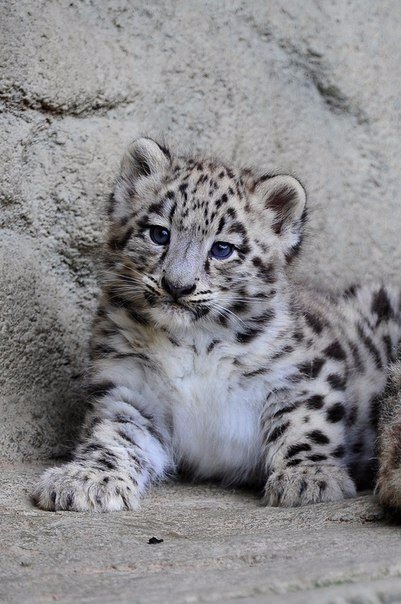 Источник: Pinterest 