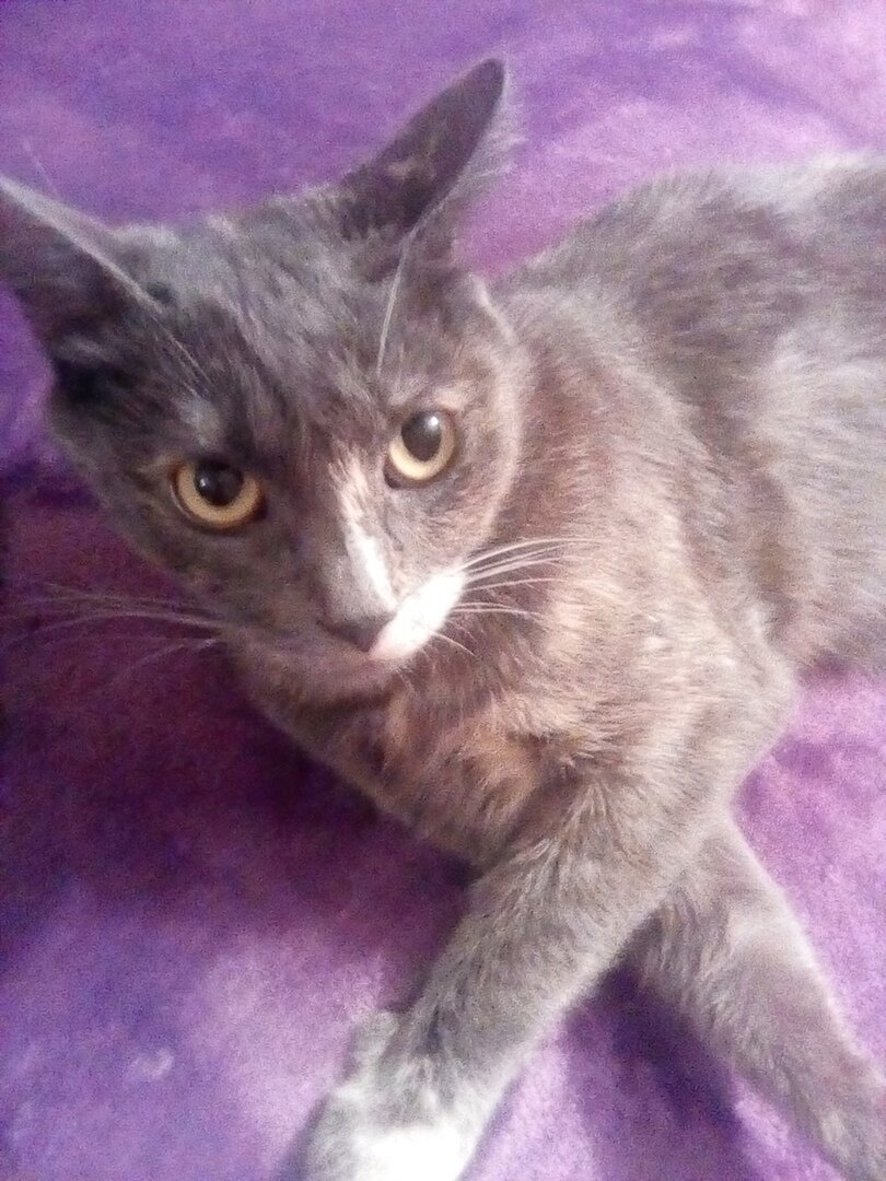 Правильная мотивация заставит любого встать и начать менять жизнь к лучшему