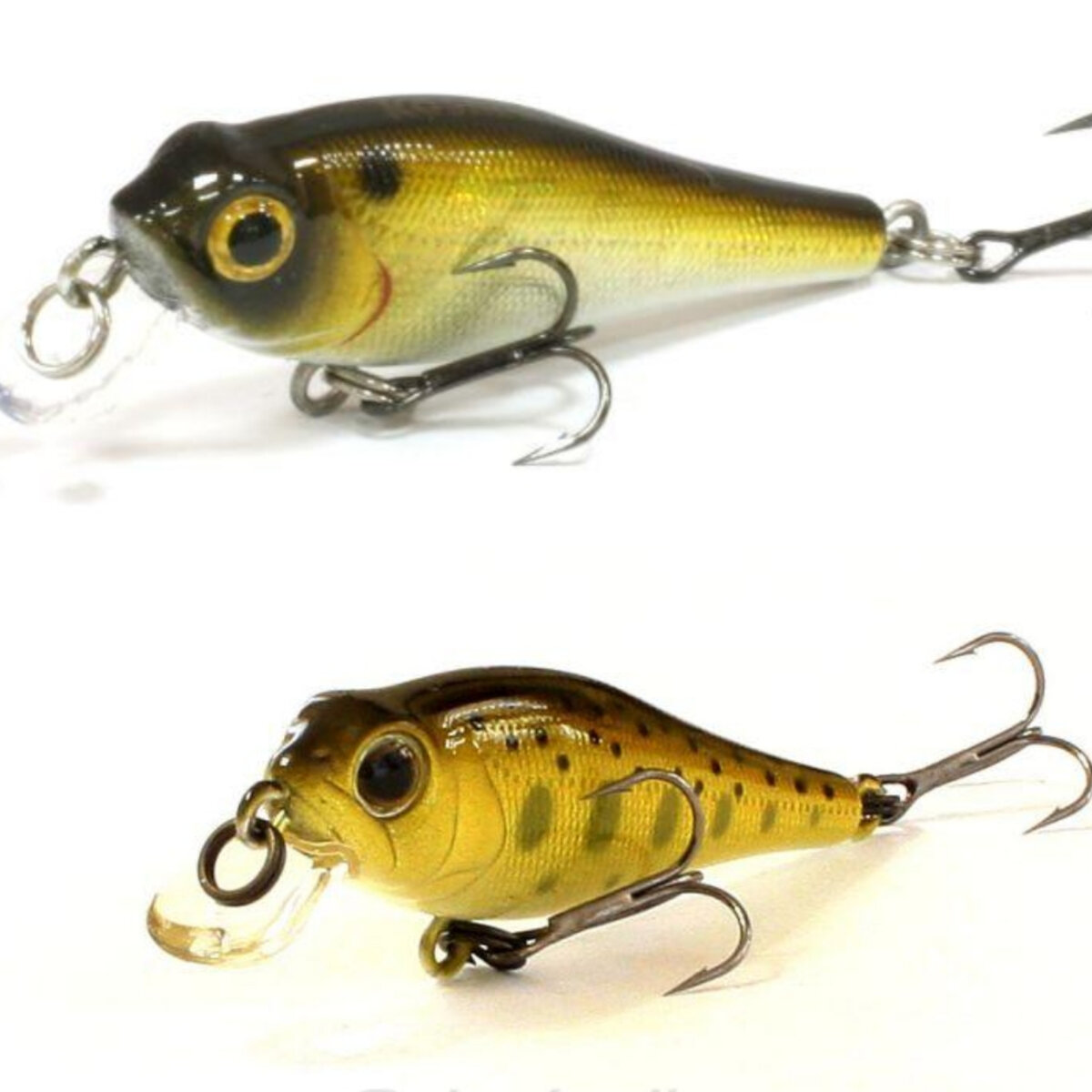 Kosadaka Beagle XS 43F и Smith Jade 43F