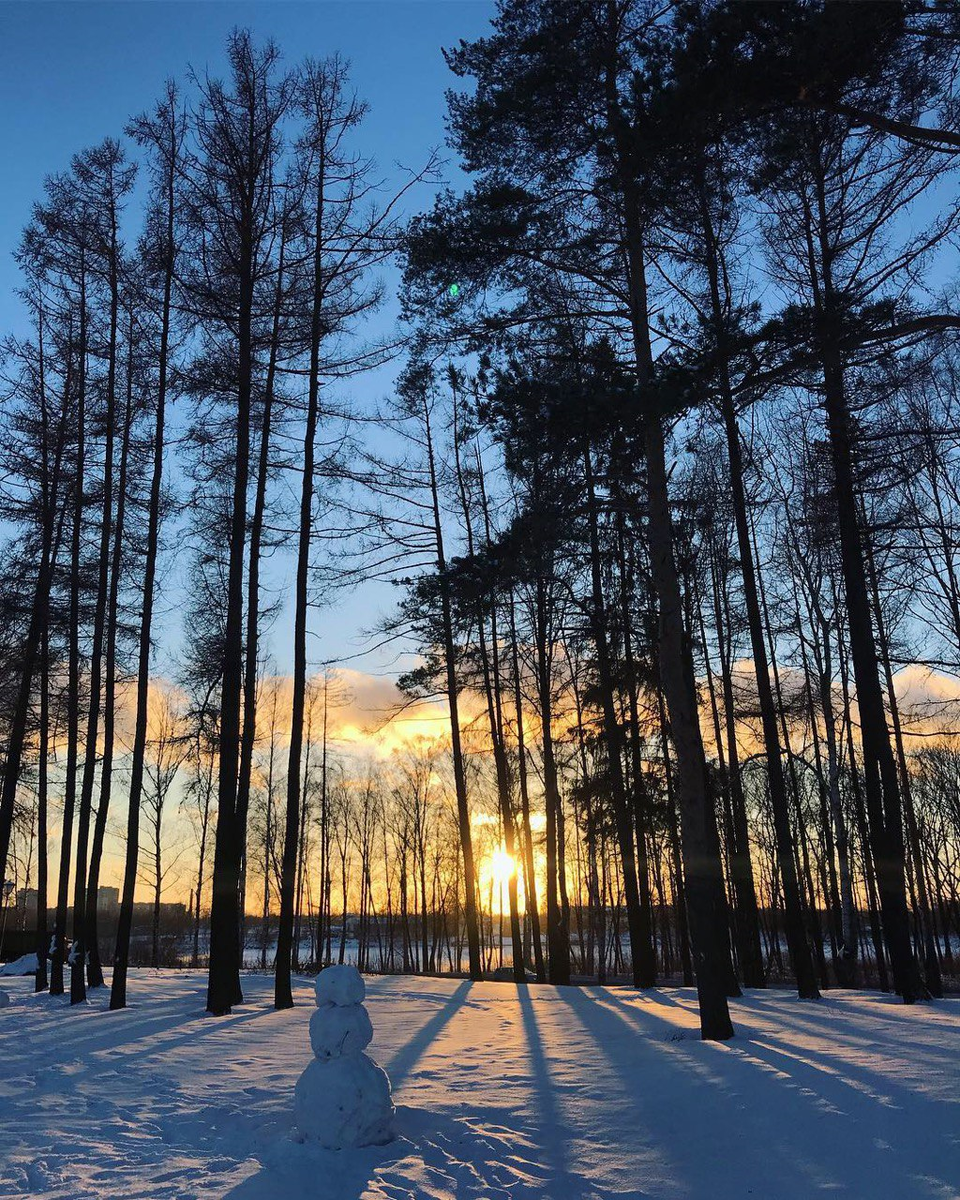 "Богословка" и Невский лесопарк зимой