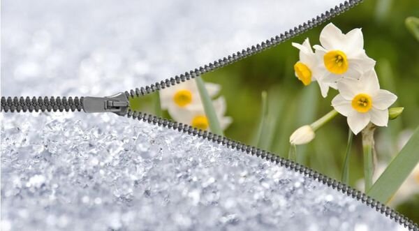 Фото: Владимирские новости