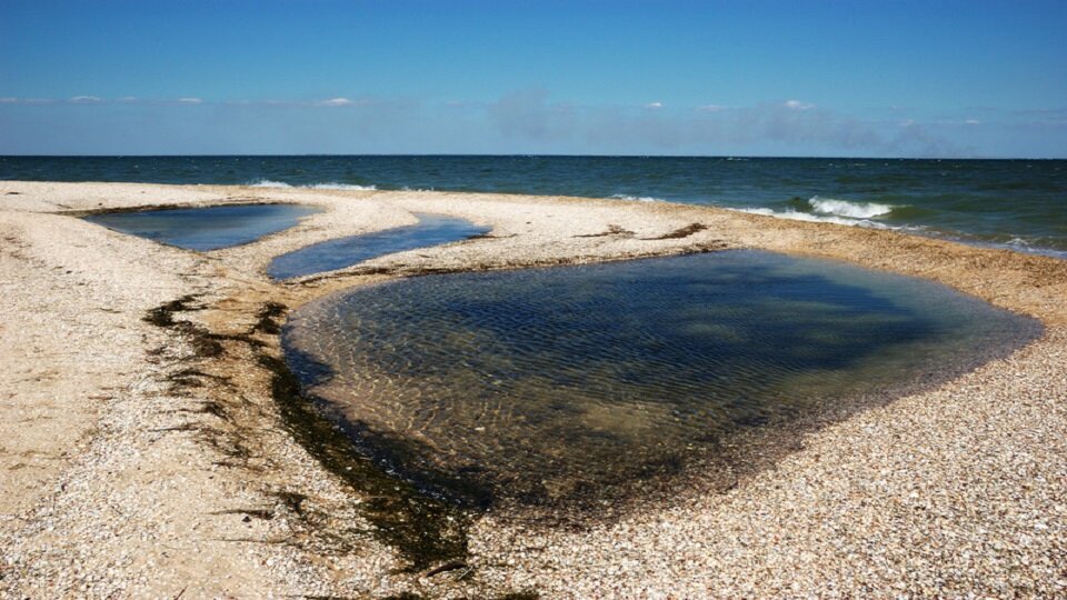 Азовское море золотая коса фото