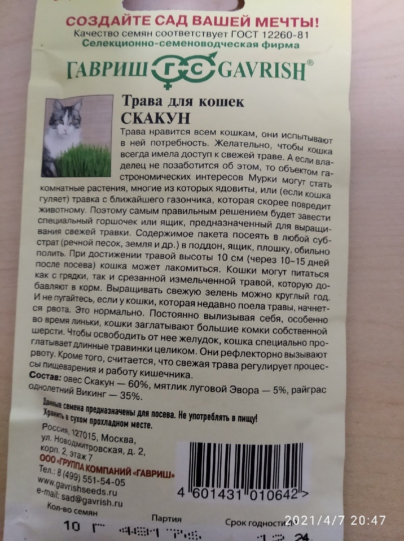 посмотрев состав и все что написано на пачке, решили купить что бы порадовать нашу любимицу, Цена у нее порядка 20 рублей, Что не так то много, чем покупать уже проросшую, которая стоит куда дороже! по приезду домой посеяли в простую чашку, насыпали земли, Высыпали пол пачки содержимого(для проверки) сверху присыпали землей и полили водой, на удивление первые всходы я увидел уже на вторые сутки после посадки, а это очень даже быстро! расти она дальше продолжила моментально, не по дням а по часам)) 