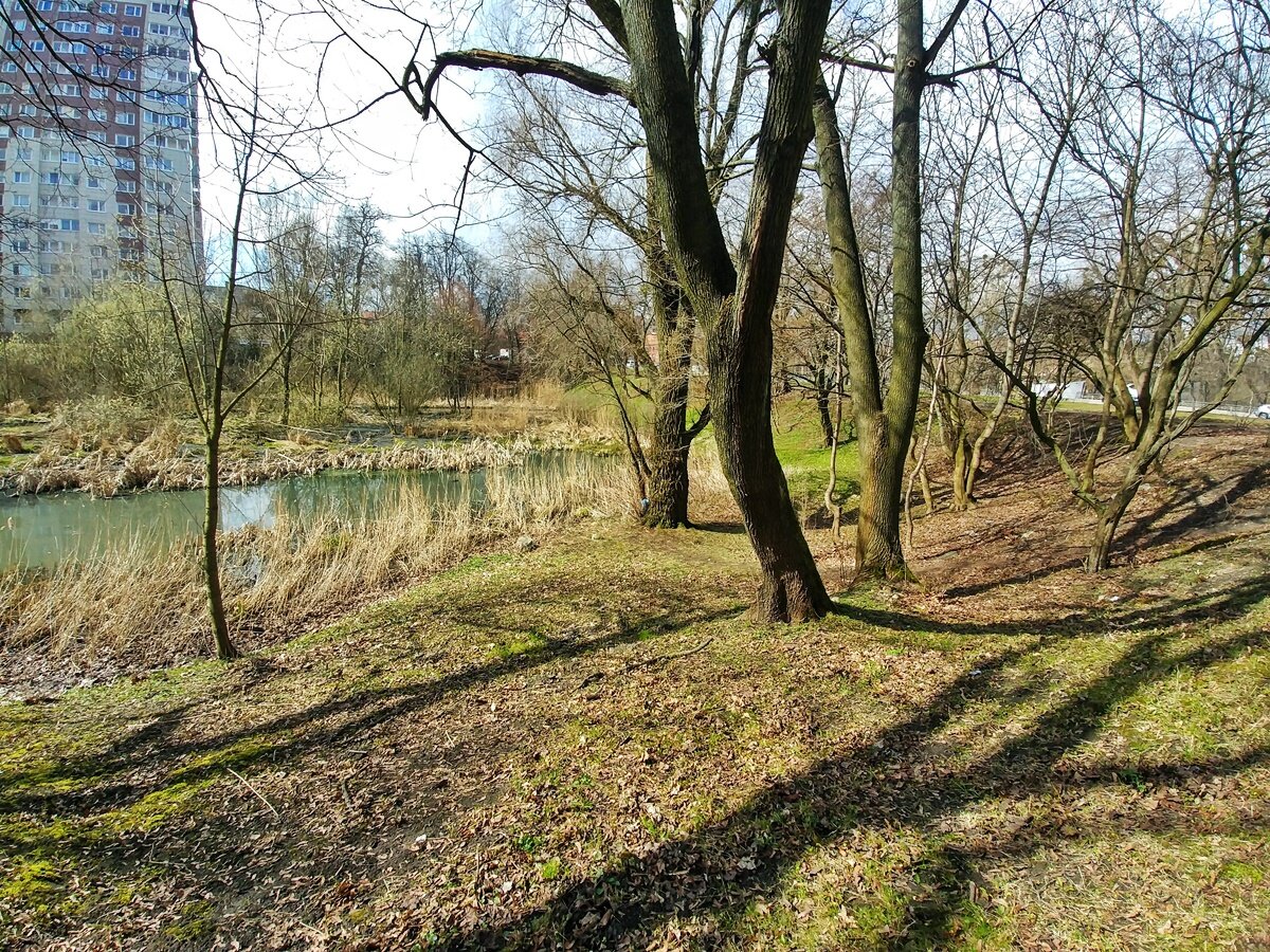 Весна Авт фото