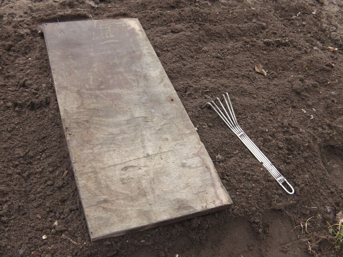 Способ посева с доской. Фото автора 