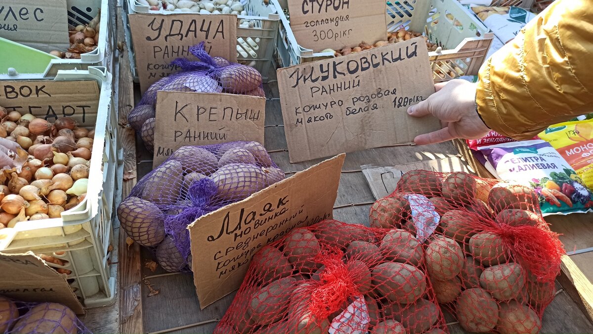 Фотография из личного архива