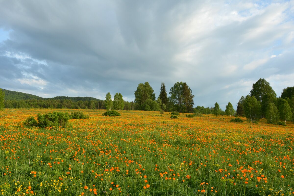 Фото Алексея Тырышкина