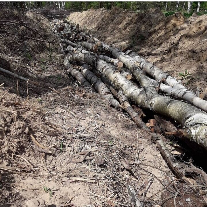 наполнение высокой грядки: бревна в нижнем слое