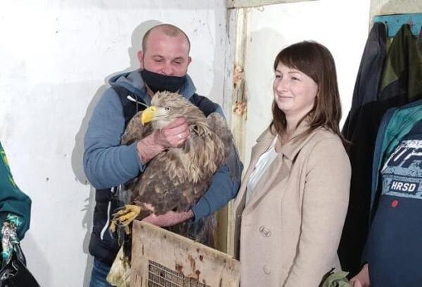 Источник фото: rostoblvet.ru