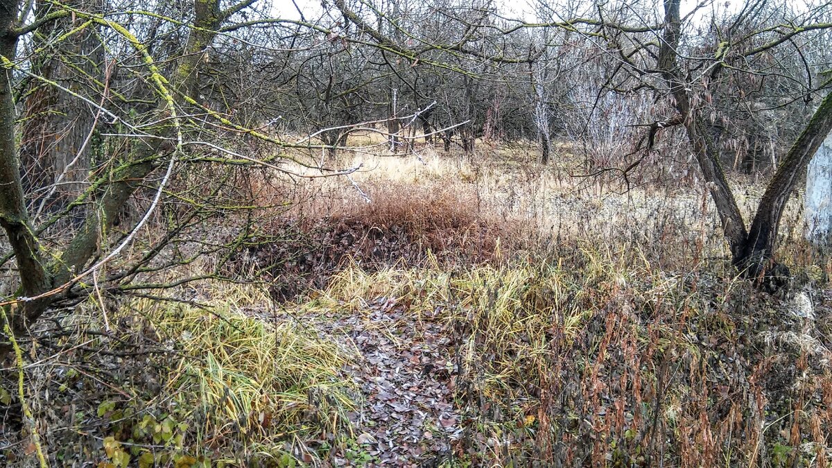 Определить дымовую яму можно по тому, как она похожа на воронку и вокруг такой воронки имеется отвал земли. Фото взято на сайте: https://clck.ru/UJmpd