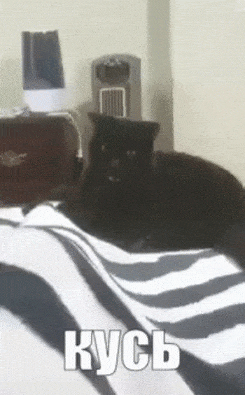 Вот как я могу!