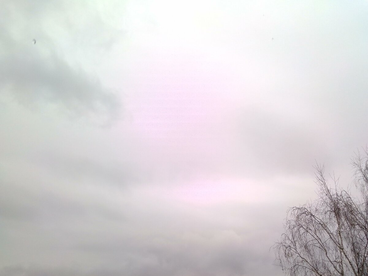 "Пасмурное будущее"