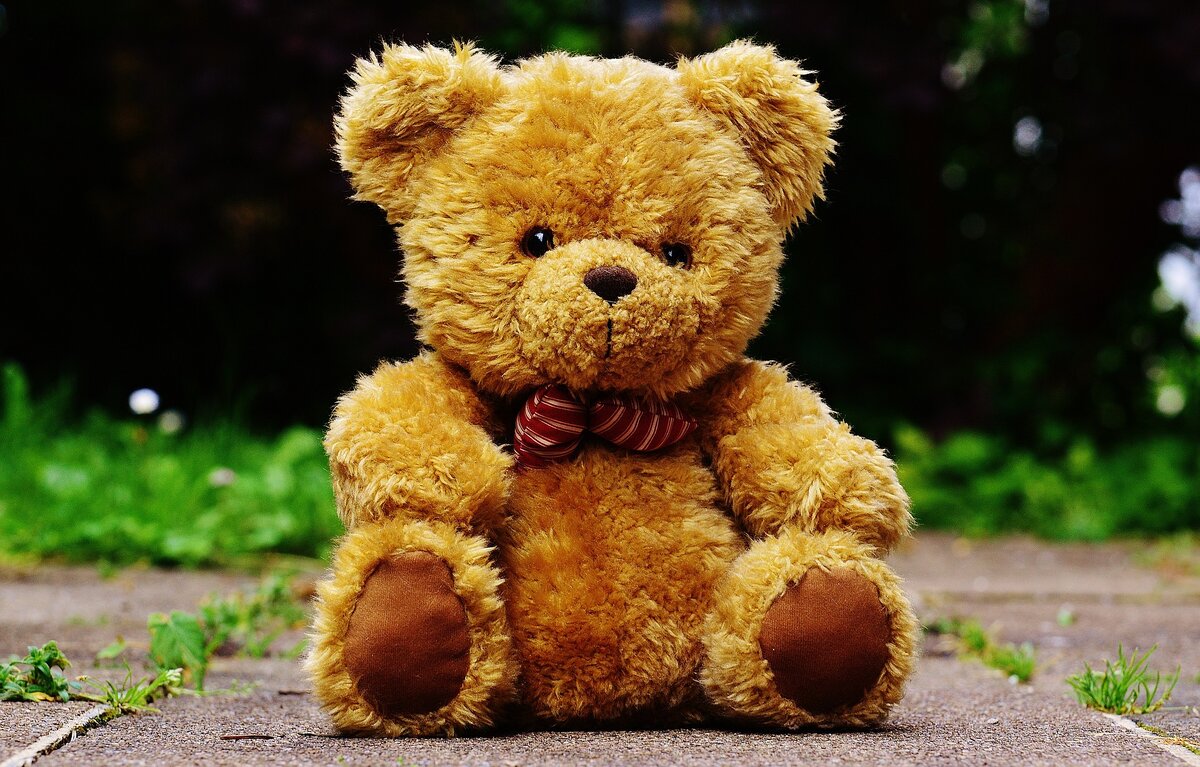Teddy bear pixabay.com