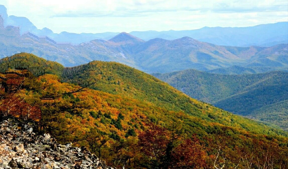 Сихотэ-Алинь