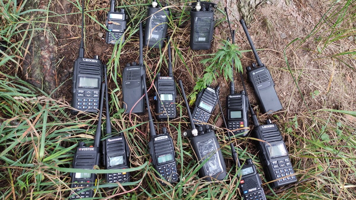 В ходе одного из тестов работы группы портативных раций разных диапазонов частот в плотном мокром лесу