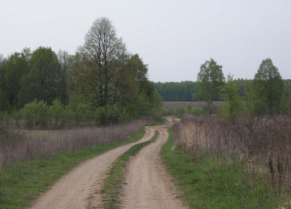 Дорога. Где-то в России. Фото из поиска