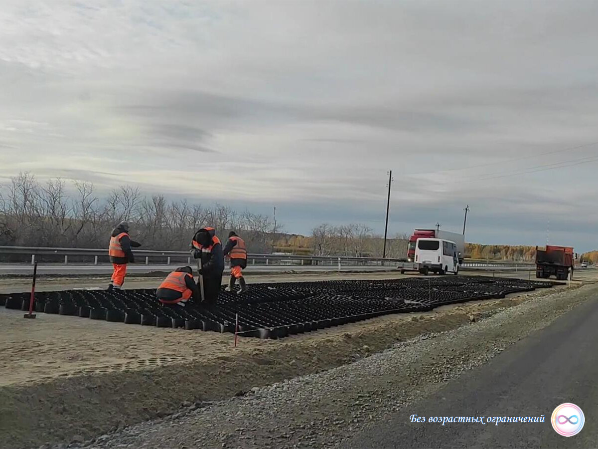 В Омской области удивило строительство дороги прямо по болотам |  Путешествовать вместе с Татьяной и Владимиром | Дзен