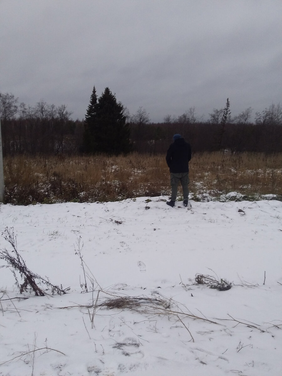 Участок обязательно надо пометить, чтобы никто не занял😄 (Личное фото)