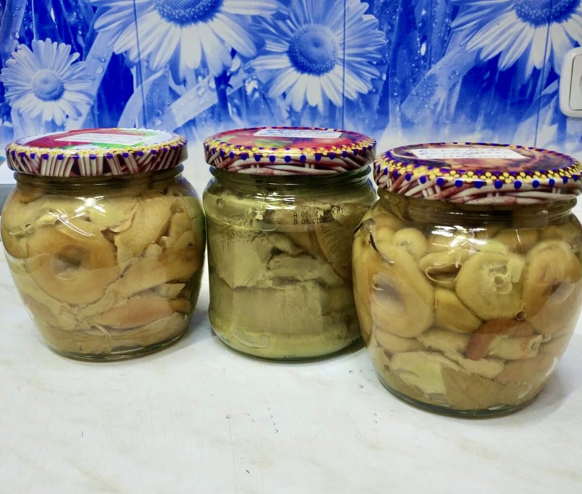Соленые грузди и волнушки