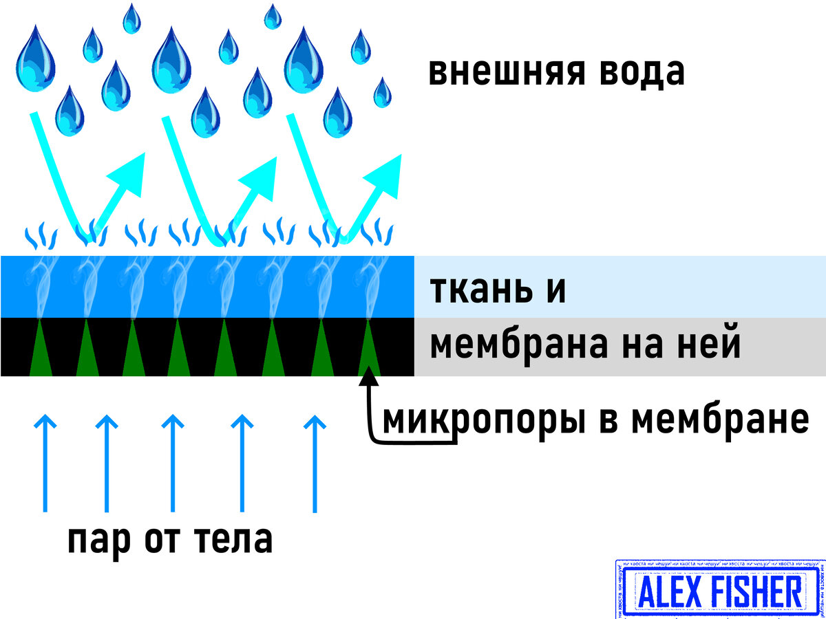 так работает мембрана