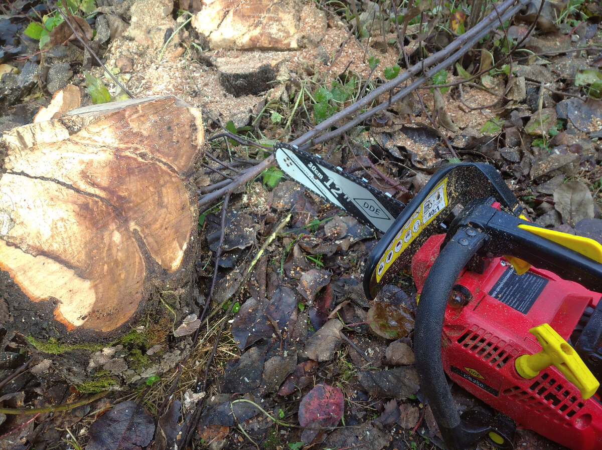 С этим приобретением вздохнули несколько свободнее.