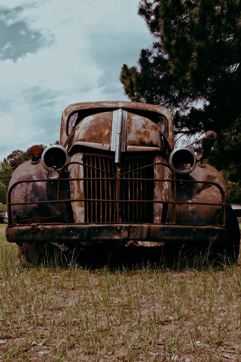 Фото с сайта https://www.pexels.com