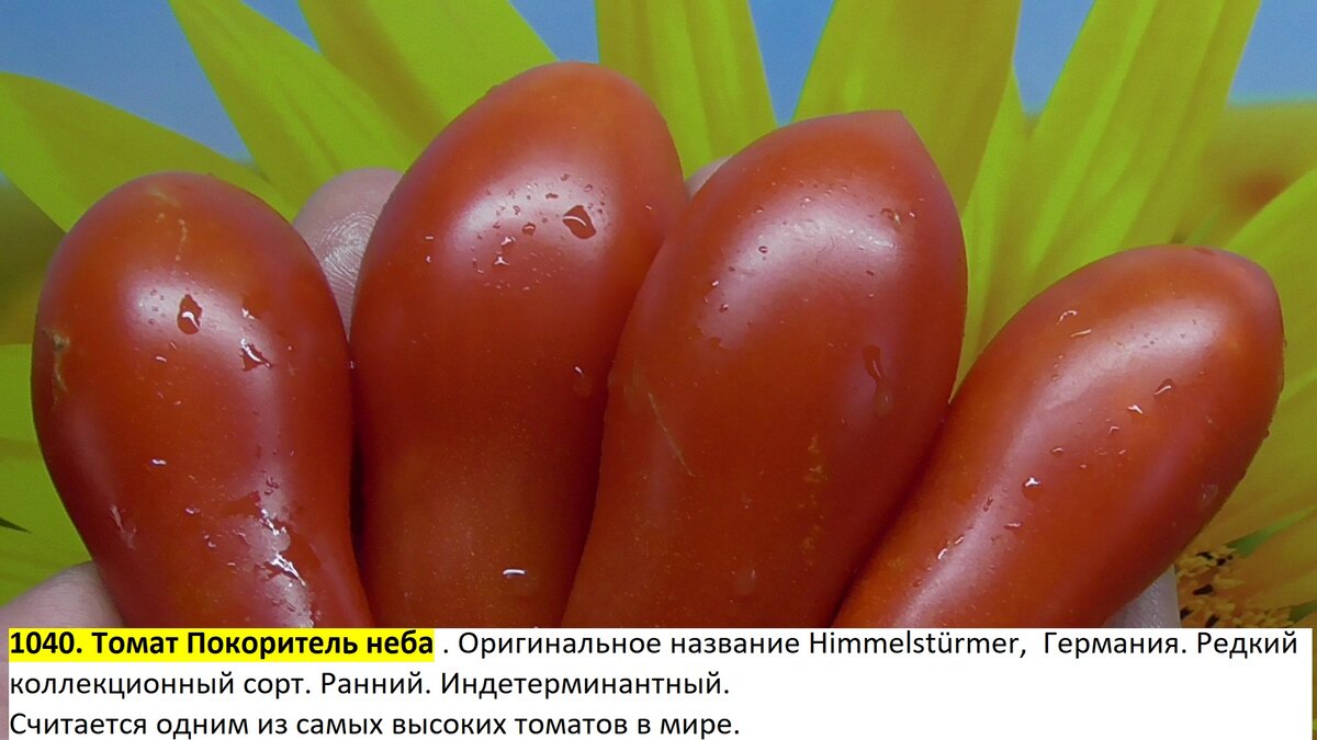 -184