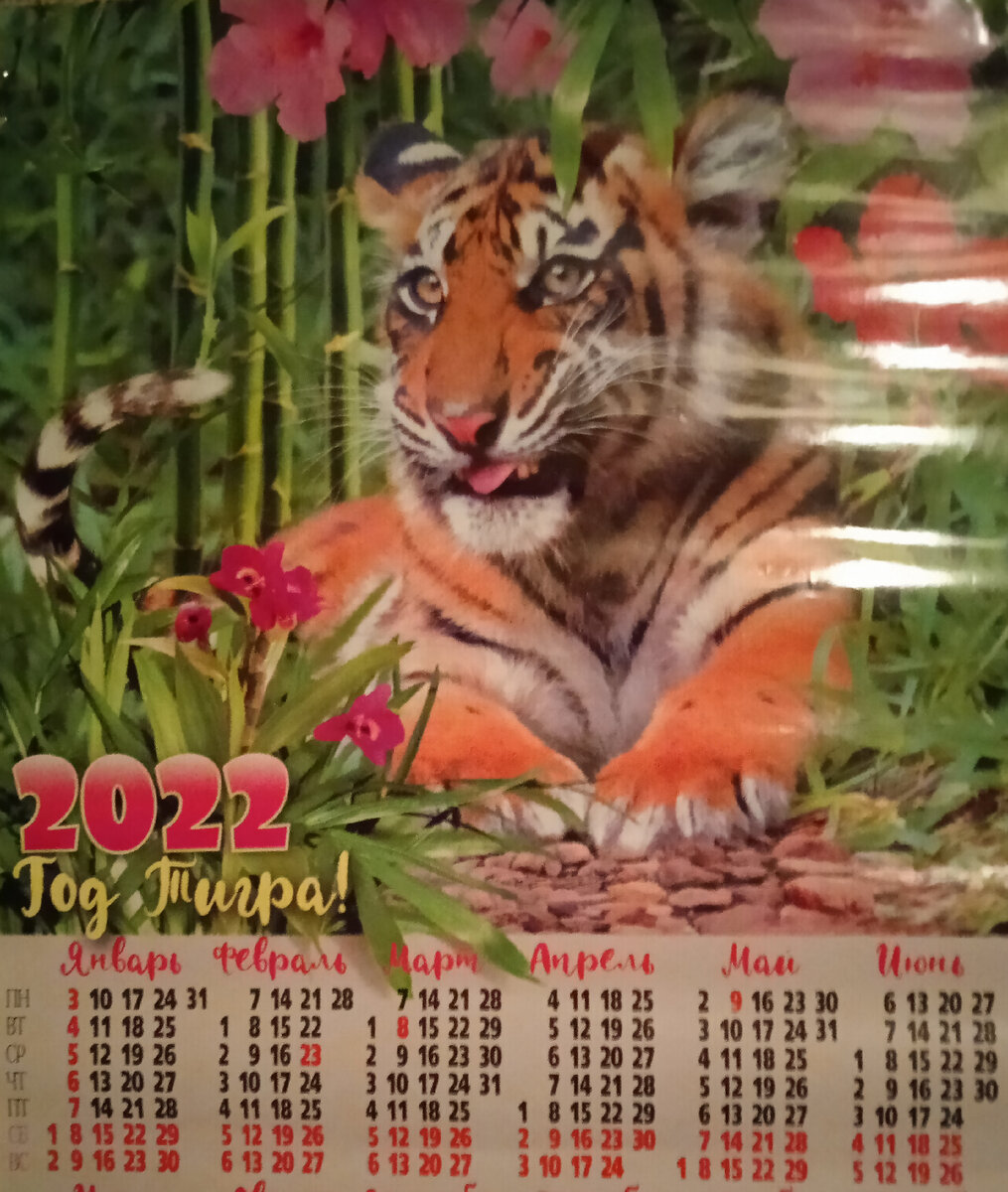 Вот такой у меня тигр над столом! 