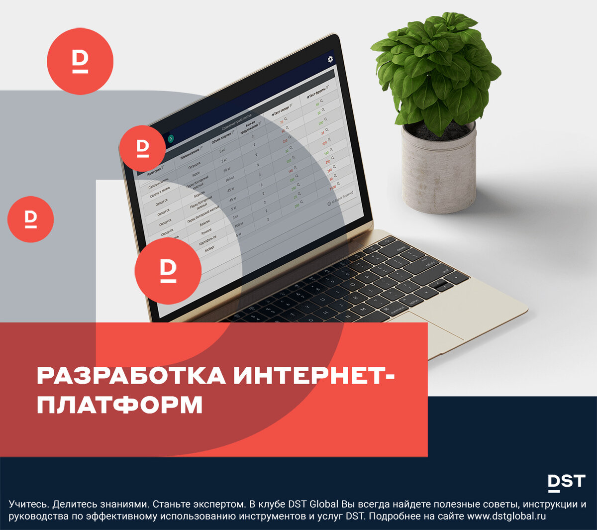 Разработка интернет платформы. Интернет платформа. твиттер дст.