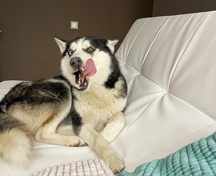 Ой, а можно я тут у вас полежу?