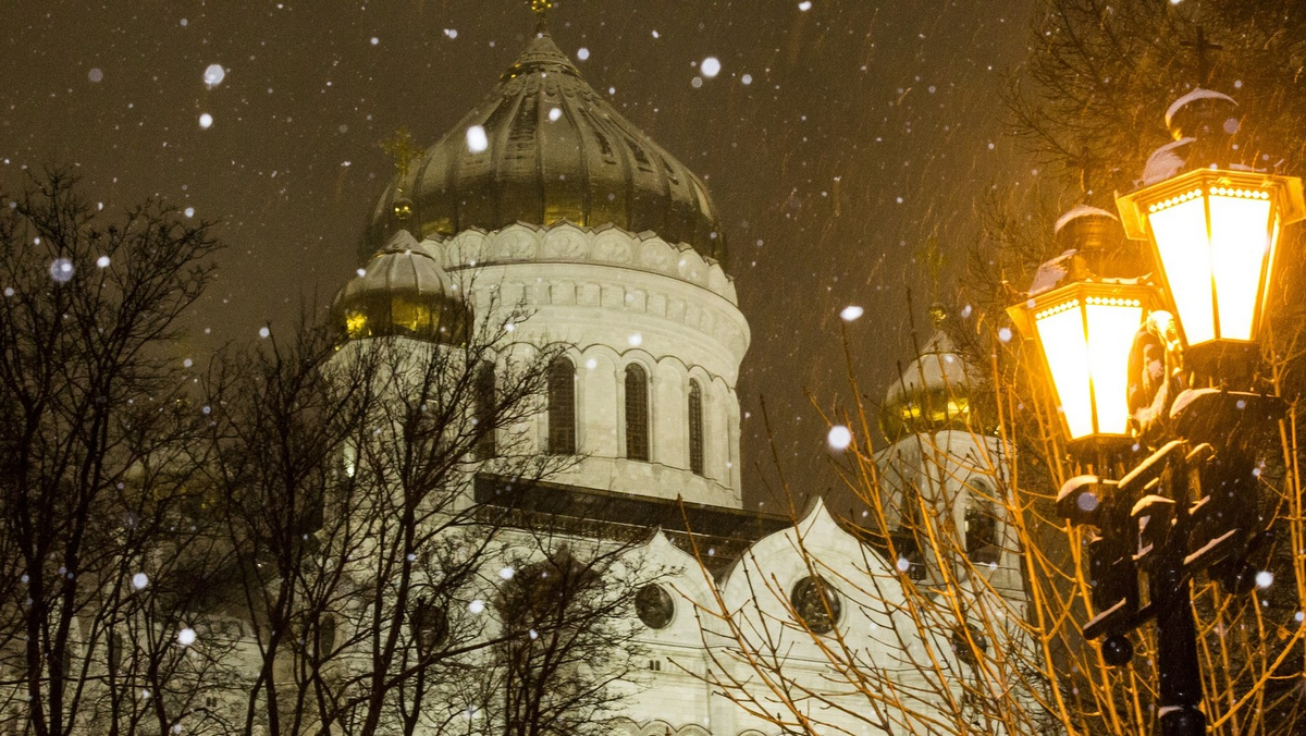 Фото: Татьяна Васильева / pixabay.com
