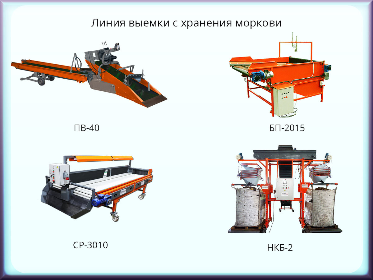 Линия выемки с хранения моркови