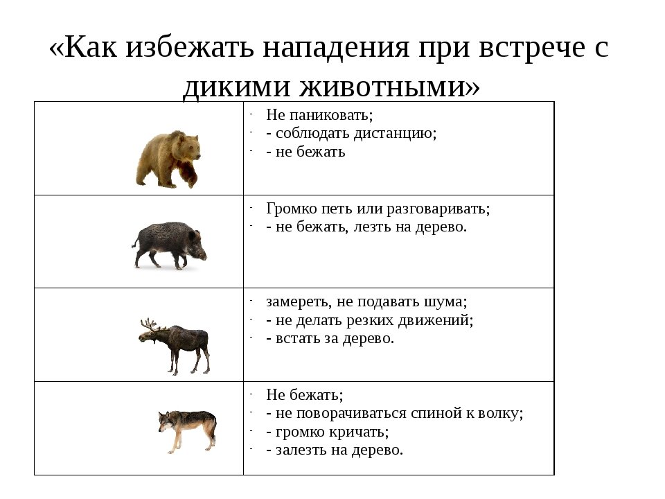 Основные правила.