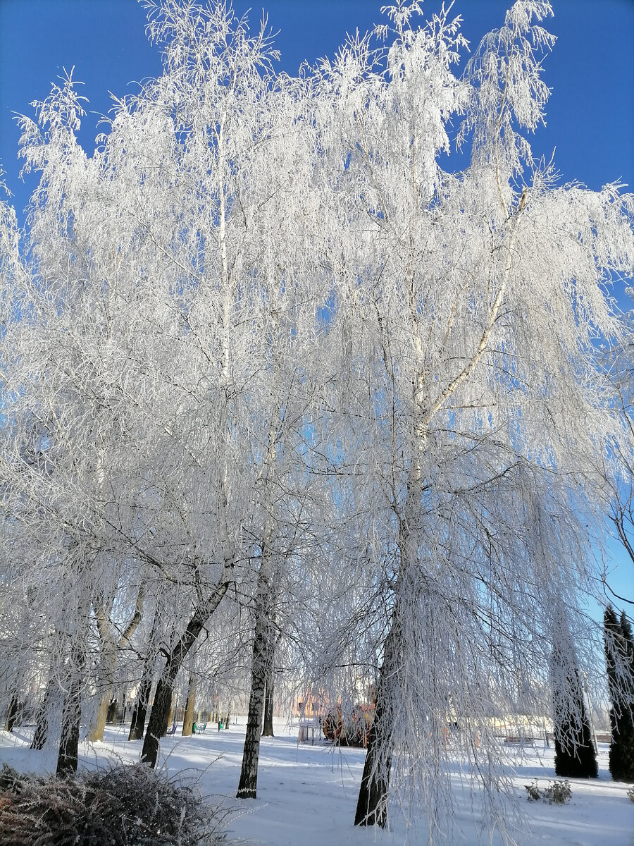 У нас снова зимняя сказка на улице