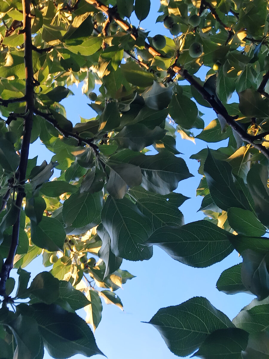 Эх, лето,почему оно всегда так быстро проходит 😔