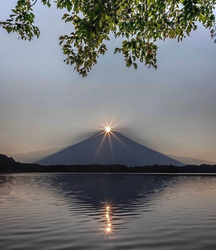 Фото из интернета. Просто для настроения...