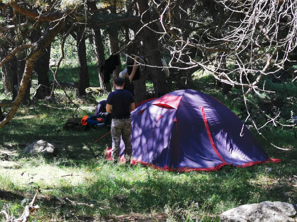 Добавьте описание