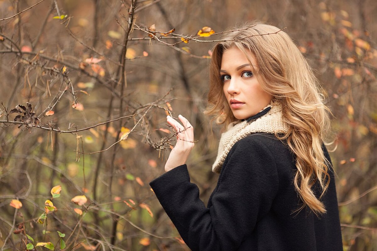 Яндекс. Картинки