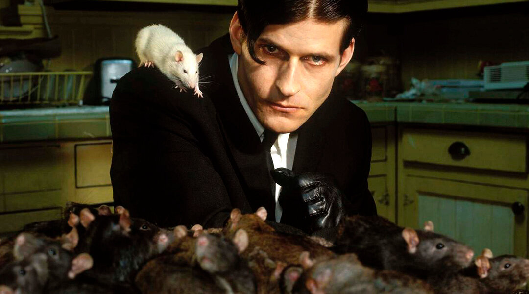 Мужчина крыса. Криспин Гловер Уиллард. Уиллард 2003. Уиллард фильм 2003. Криспин Гловер крысы.