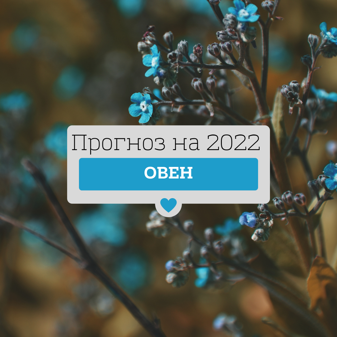 Новый 2022 год Тигра для рожденных под знаком Овна обещает стать весьма и весьма удачным. Подарки судьбы будут сыпаться буквально, как из рога изобилия.