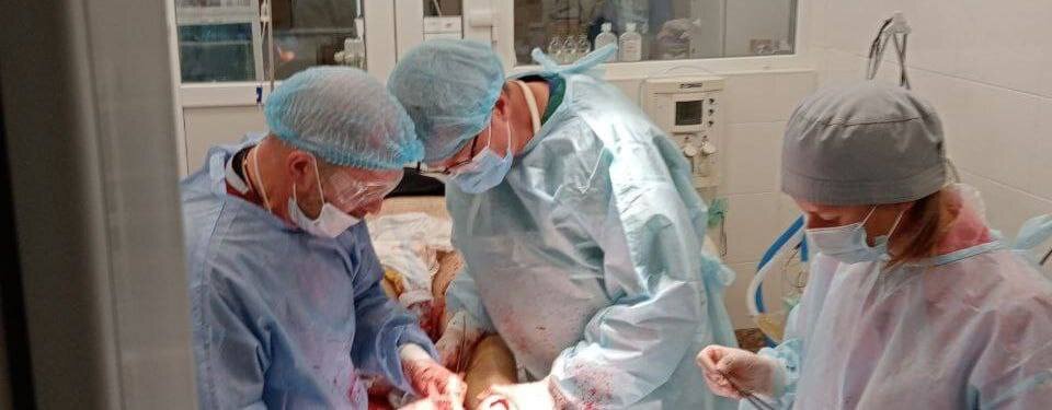 Фото: Алексей Добровольский 