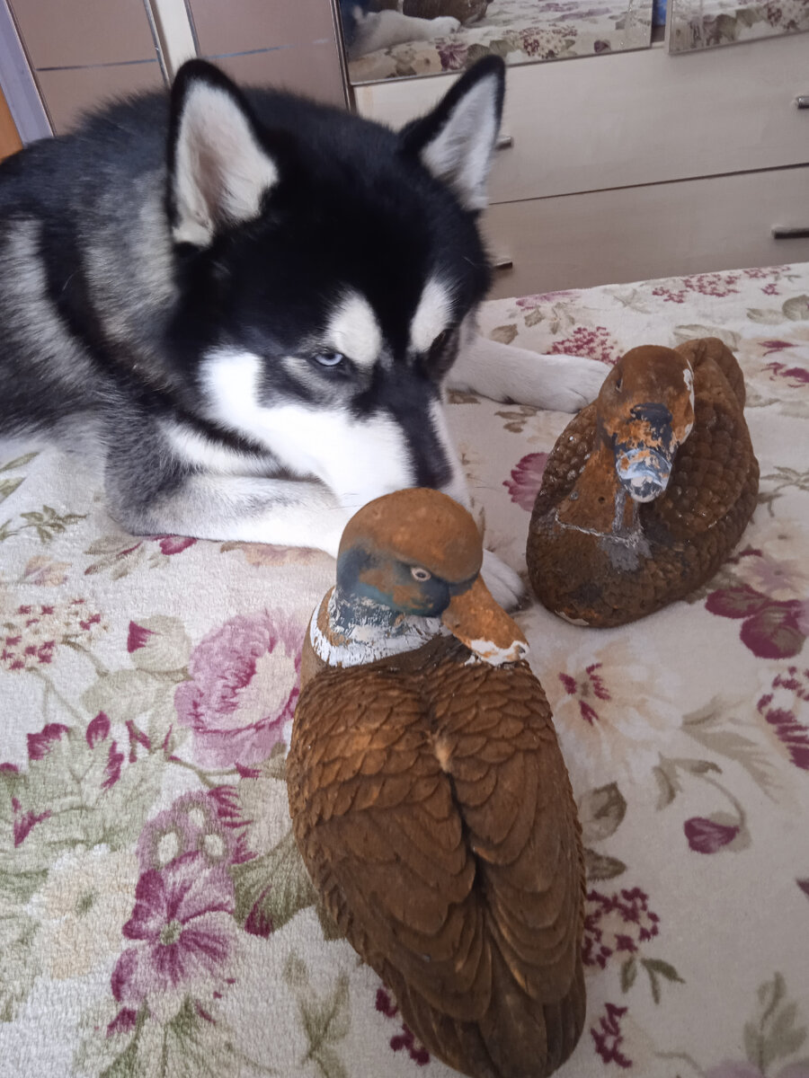 Фото автора.