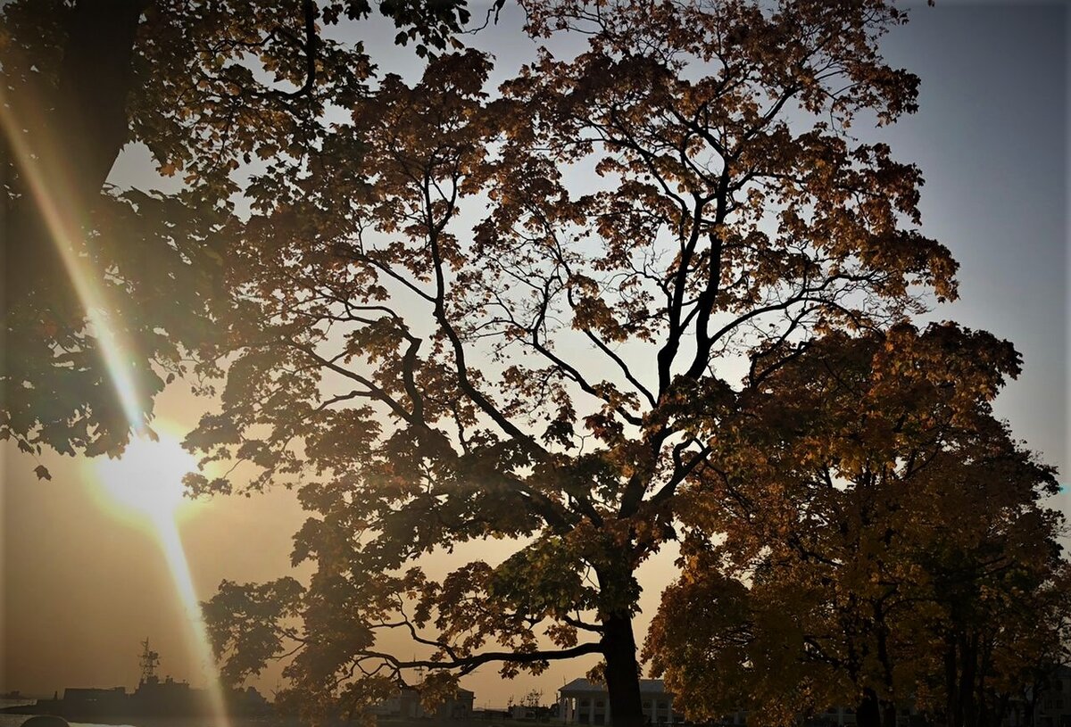 Скоро вечер. Работа Т. Федуловой.